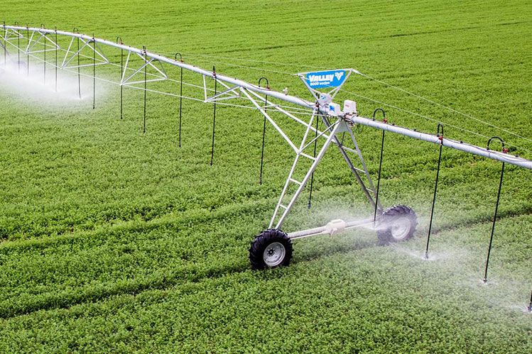 راهنمای انتخاب بهترین سیستم آبیاری 