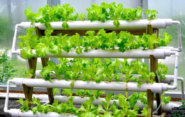 انتخاب تجهیزات مناسب گلخانه