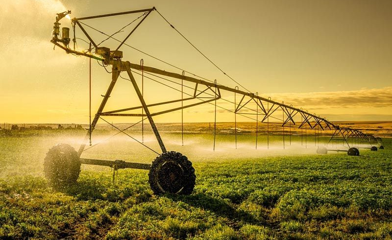 انتخاب بهترین سیستم آبیاری برای باغ