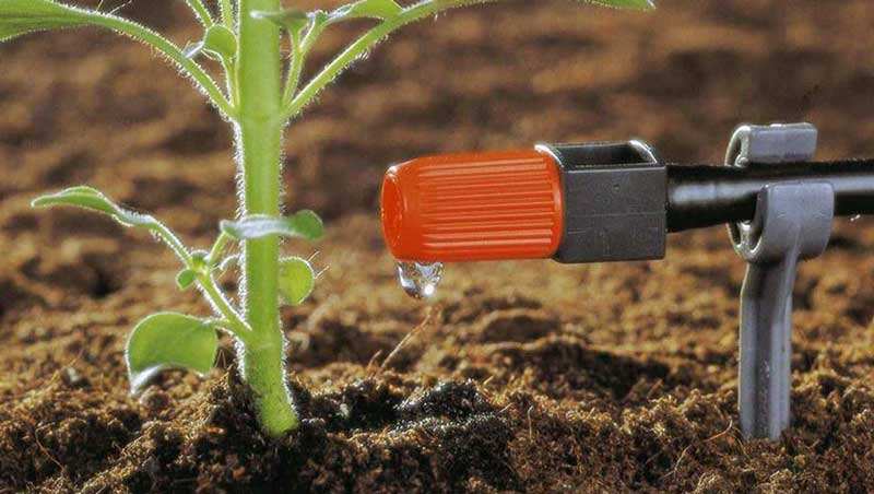 نسب سیستم آبیاری قطره ای 